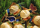 Chicken burger with tomatoes on party tray on grass