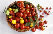 Various red, yellow & a few unripe tomatoes in basket