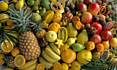 Viele verschiedene exotische Früchte