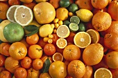 Several Assorted Citrus Fruits