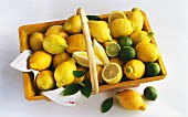 Lemons and Limes in a Basket