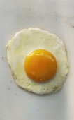 A Sunny Side Up Egg