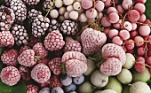 Several Frozen Berries