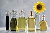 Kürbiskernöl,Olivenöl,Traubenkernöl,Sonnenblumenöl,Walnussöl