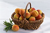 Many Apricots in a Basket