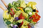 Crisp Green Salad with Assorted Vegetables