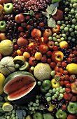 Viele verschiedene Obstsorten