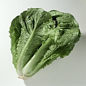 A romaine lettuce
