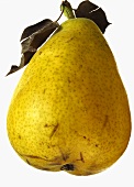 One Williams Pear