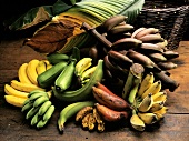 Verschiedene Bananensorten, Korb & Bananenblätter