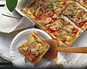 Vegetable pizza with fennel, tomatoes, onions, mushrooms