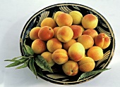 A Bowl Full of Apricots