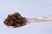 Black Caviar on a Spoon