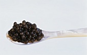 Schwarzer Kaviar auf einem Perlmuttlöffel