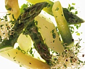 Asparagus salad with sprouts and herbs (close-up)