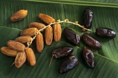 Fresh and dried dates on a leaf