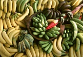 Bananenstilleben mit verschiedenen Bananensorten (Ausschnitt)