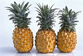 Three whole pineapples placed side by side