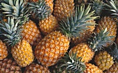 Mehrere ganze Ananas (Ausschnitt)