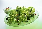 Mixed salad leaves with avocados, cucumber & chilis
