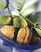 Unshelled walnuts, some still in green outer shell