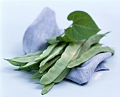 Green beans (climbing beans) with a leaf on blue cloth