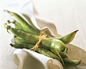 Green beans, tied together, on white cloth