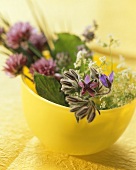 Various fresh herbs in a yellow bowl