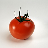 Eine Tomate auf hellem Untergrund