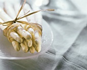White asparagus, tied together, on white plate