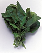 A Bundle of Arugula