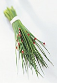 A Bundle of Fresh Chives