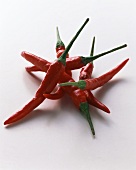Several red Thai chillies on white background