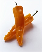 Two long yellow peppers on white background