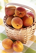 Apricots in Wicker Basket
