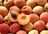 Several Apricots; One Halved