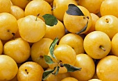Yellow plums, three with stalk & leaf (filling the picture)