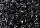 Blackberries