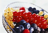 Assorted Berries in a Wire Basket Close Up