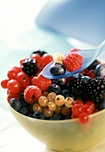 Assorted Berries in a Bowl with Spoon