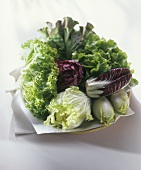 Various lettuces with Chinese lettuce & chicory on plate