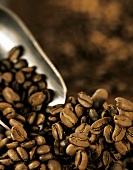 Kaffeebohnen mit einer Metallschaufel