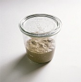 Sourdough in a jar with lid on white background