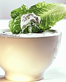 Romaine Lettuce Leaf with Bowl of Dressing