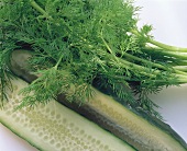 Halved cucumber and dill on white background