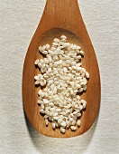 White short grain rice (pudding rice) on a wooden spoon