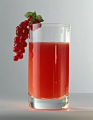Johannisbeersaft im Glas; am Glasrand rote Johannisbeeren