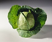 A white cabbage with drops of water on a light background