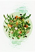 Dandelion and watercress salad with radishes and carrots