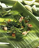 Corn salad with chicken breast & croutons on palm leaf